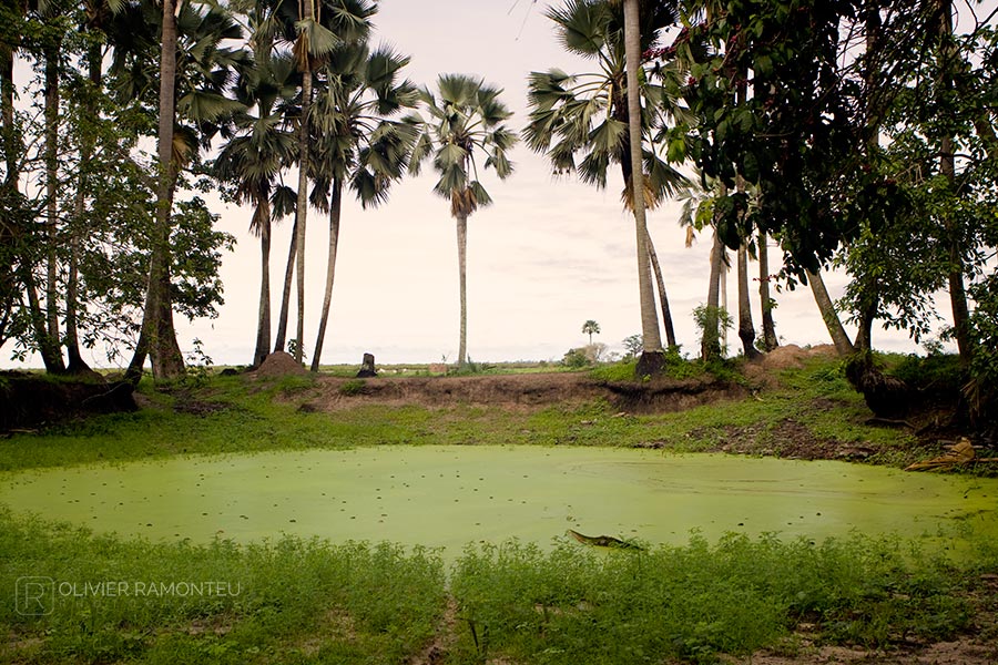 Enampore, Casamance, Sénégal, Afrique