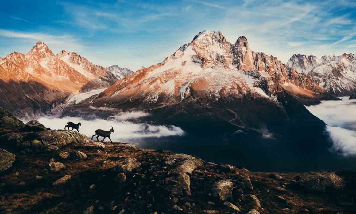 photo paysage montagne lac blanc chamonix 2015 09 34298 1200px