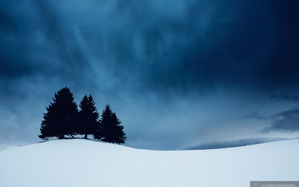 photo danse 2016 01 40778 1200px