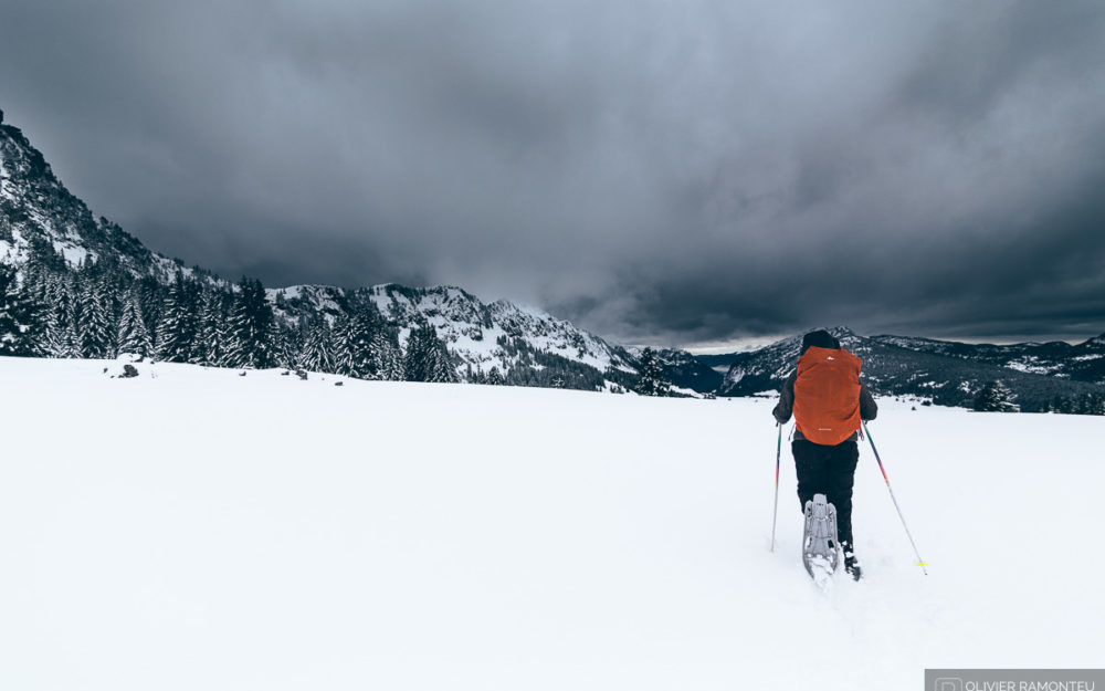 photo danse 2016 01 41049 1200px