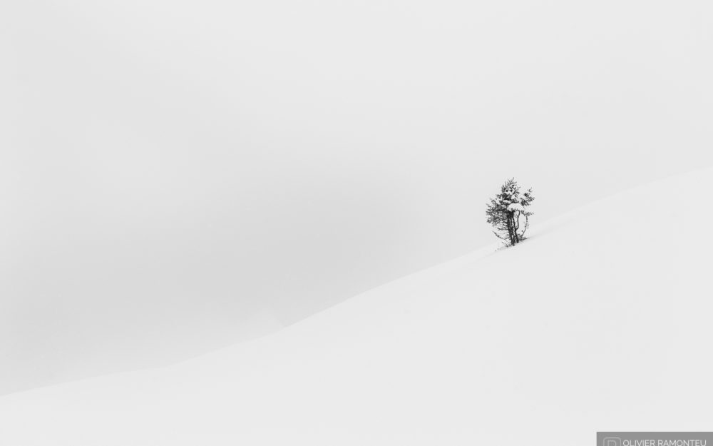 photographie danse 2016 01 41038 1200px