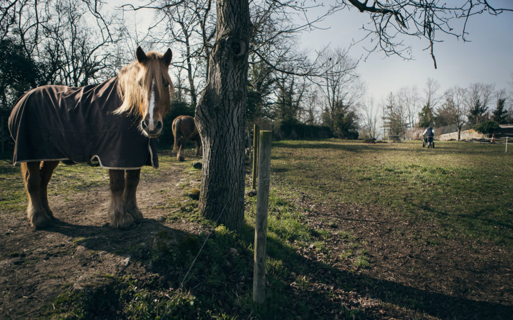 Reportage photo ADAPEI Loire