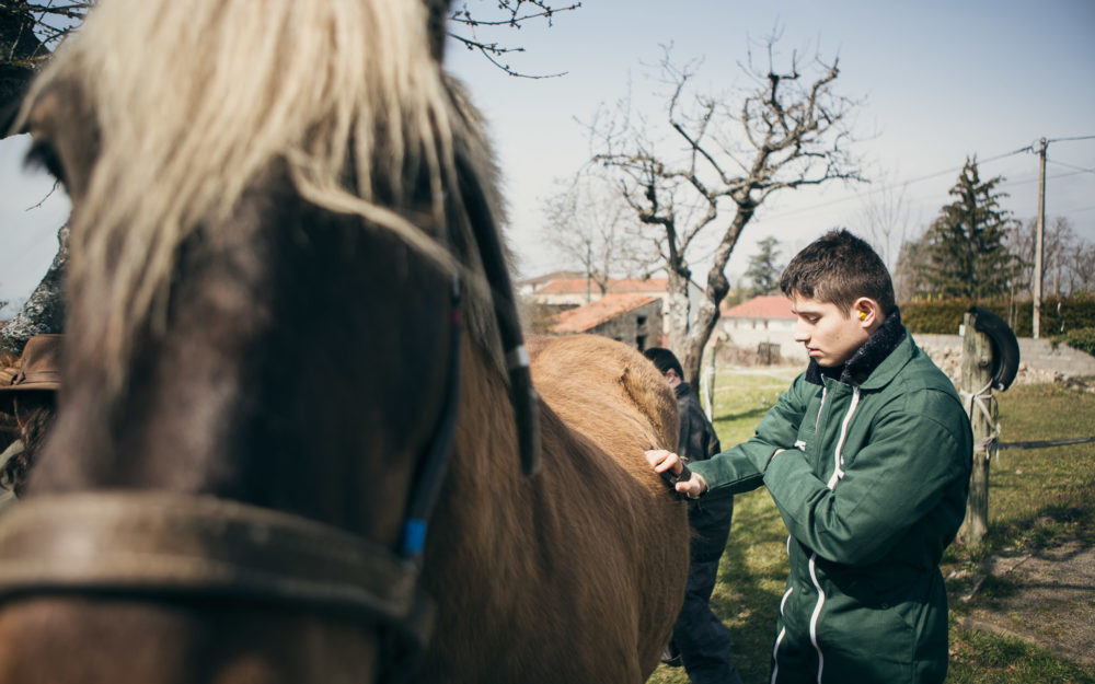 Reportage photo ADAPEI Loire