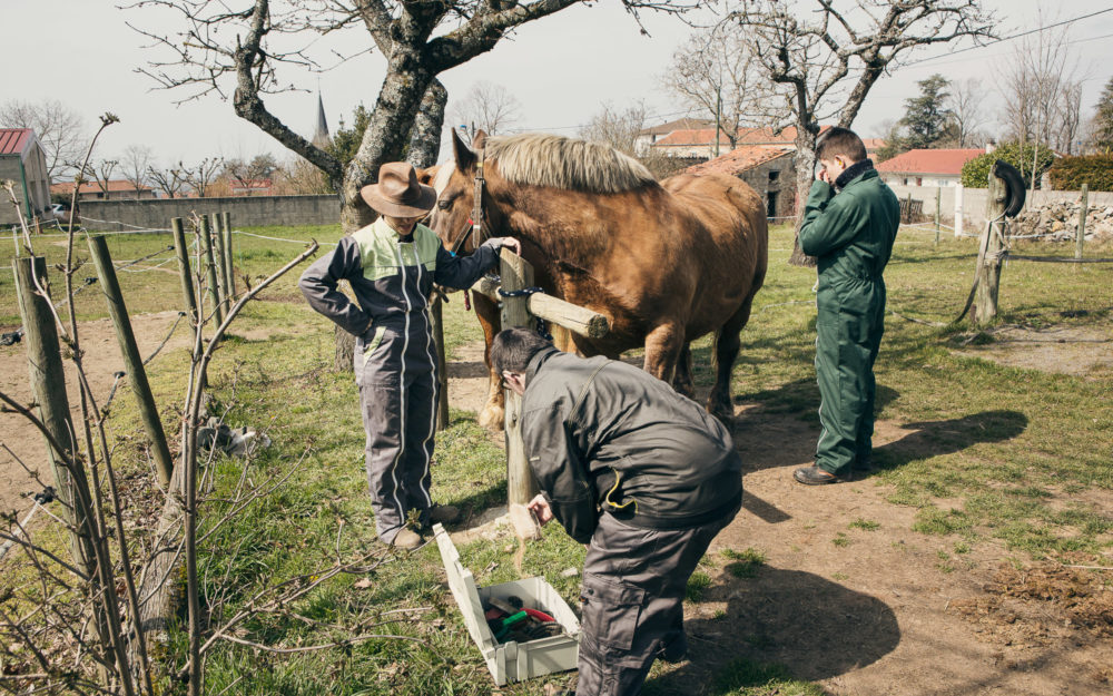 Reportage photo ADAPEI Loire