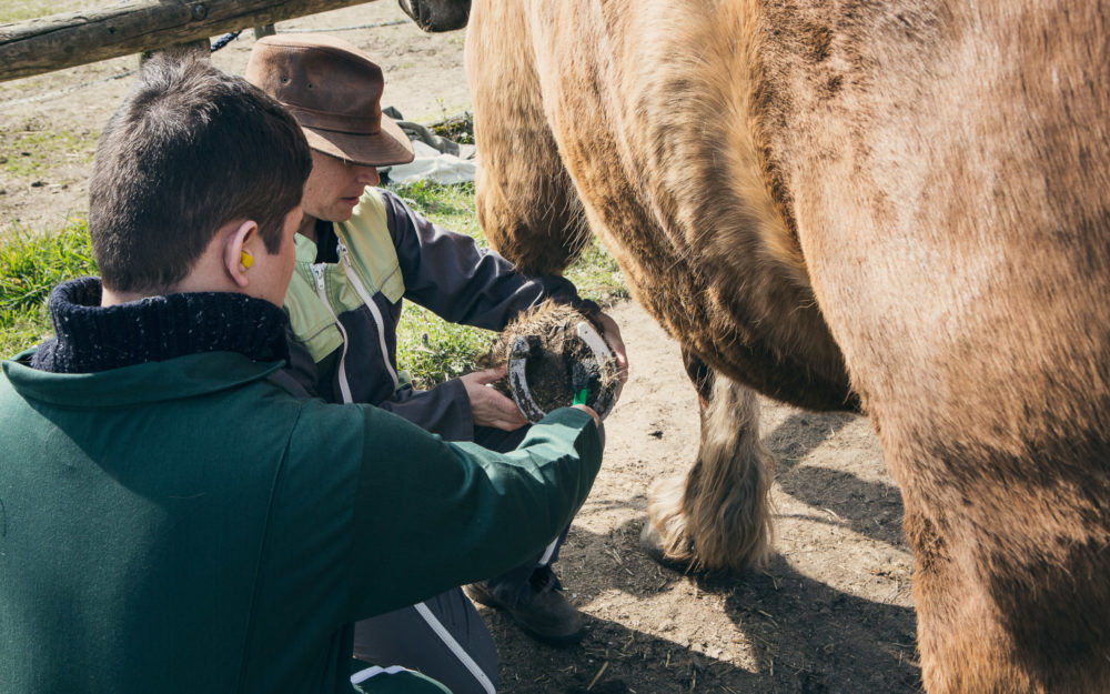 Reportage photo ADAPEI Loire