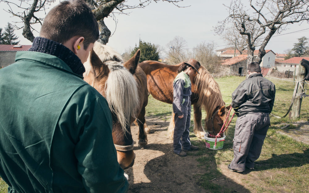 Reportage photo ADAPEI Loire