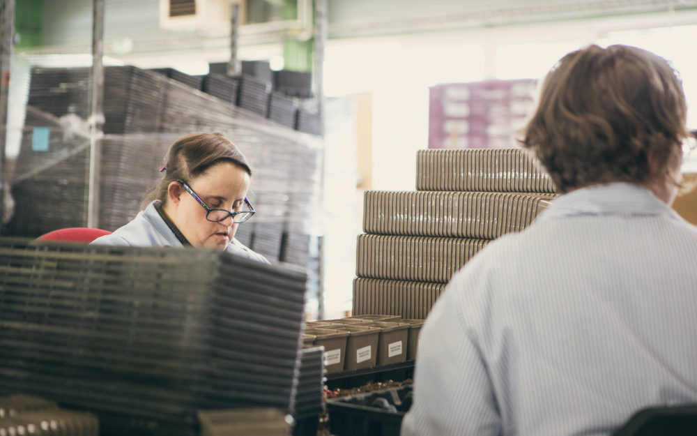 Reportage photo ADAPEI Loire