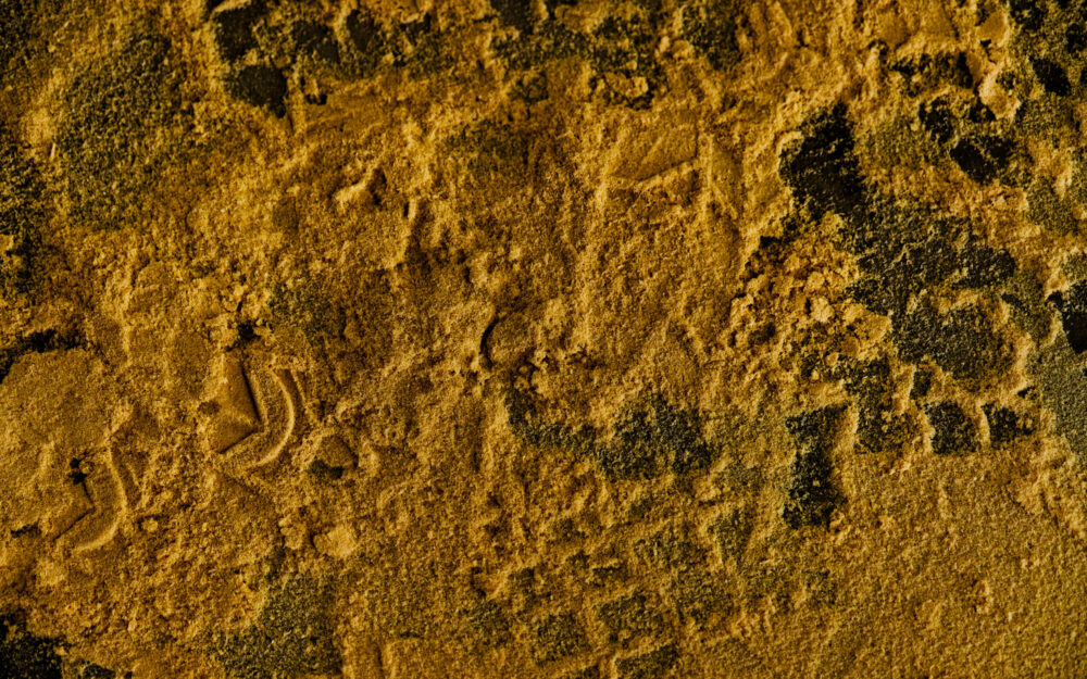 Détail de matière, sciure de bois dans les ateliers de menuiserie.