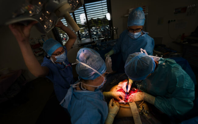Docteurs Marie Poiblanc et Eric Olagne, Chirurgiens au Pôle digestif Lyon Est (UCGT), lors d'une opération.